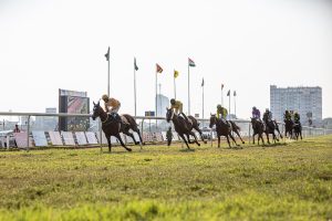 Best Horse Racing Tips India: Pro Tips to Win in India (2027)