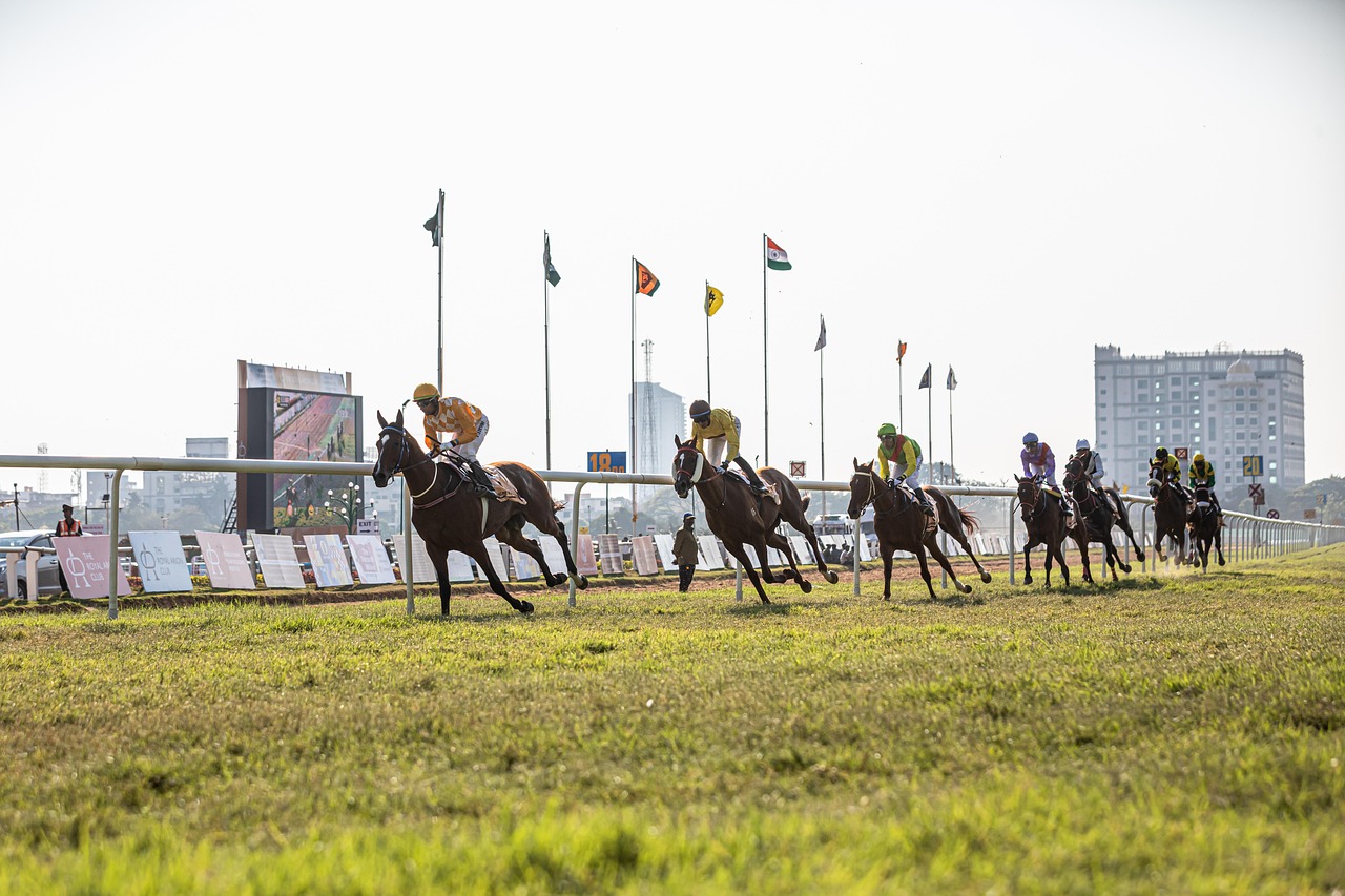Best Horse Racing Tips India: Pro Tips to Win in India (2027)